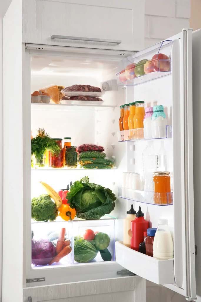 Dopamine Decor Kitchen Refrigerator