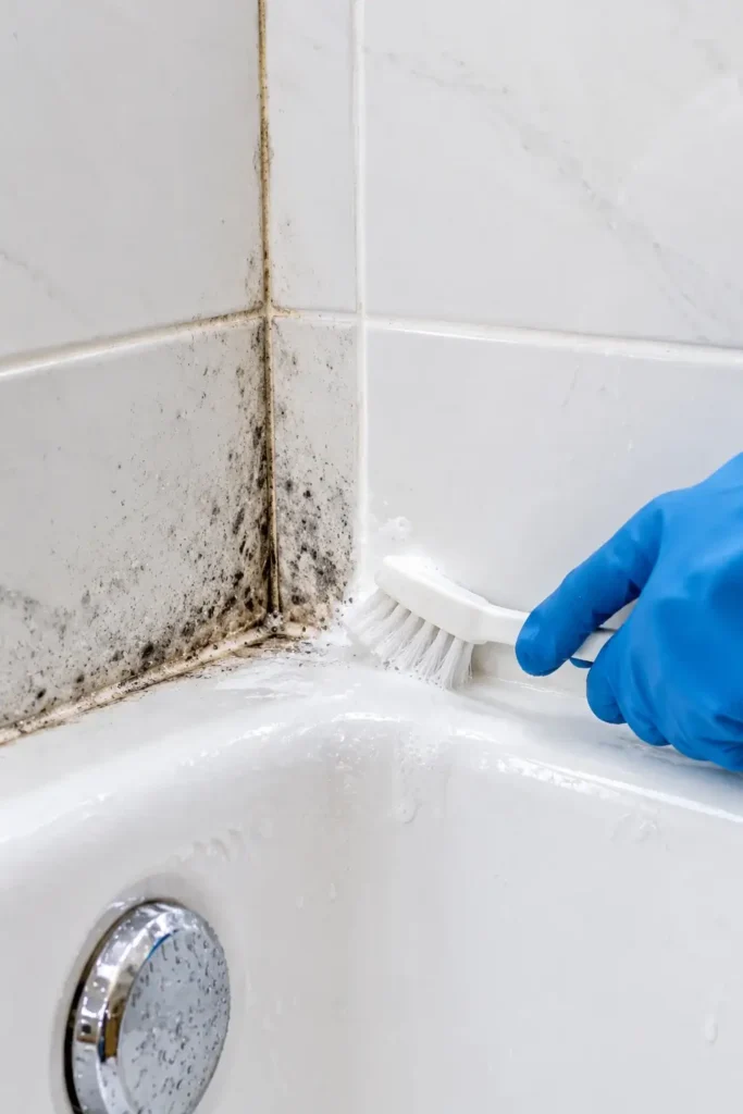 How to Remove Mold and Mildew From a Bathtub